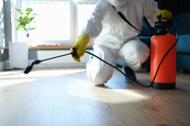 Reliable Odor Removal contractor in Brandywine, MD by Dulley Family Biohazard Services